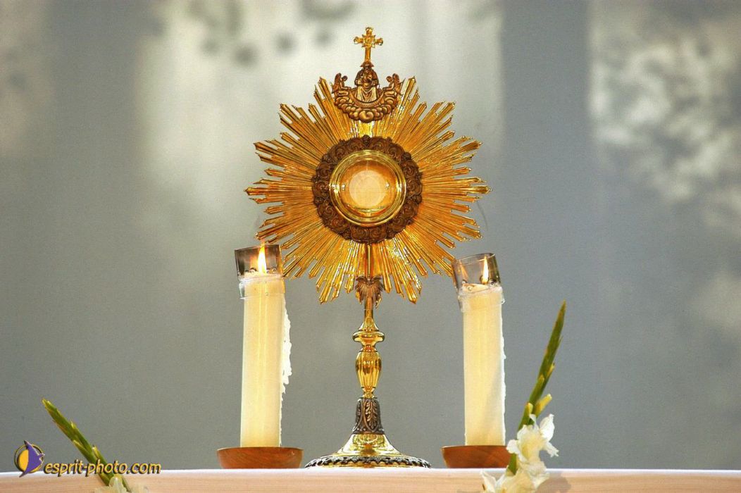 Nom de l'image : EP08-0004_(c)Norbert-JUNG — Description :